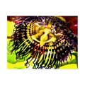 Trademark Fine Art Dana Brett Munich 'African Orchid' Canvas Art, 14x19 ALI46424-C1419GG